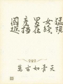 国产男女猛烈无遮挡在线视频网站