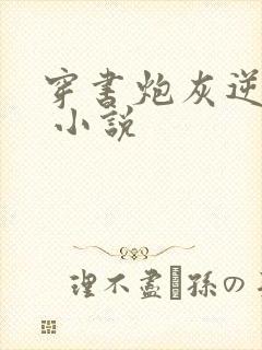 穿书炮灰逆袭记 小说