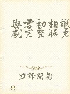 与君初相识电视剧完整版免费观看封面