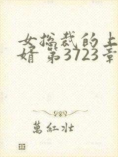 女总裁的上门女婿 第3723章