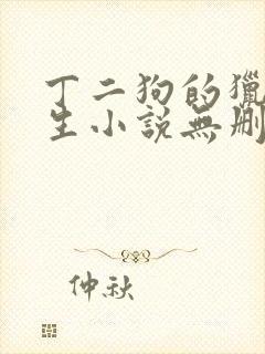 丁二狗的猎艳人生小说无删减小说