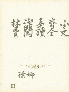林洁秦齐小说免费阅读全文封面