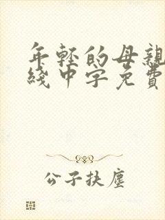 年轻的母亲2在线中字免费观看