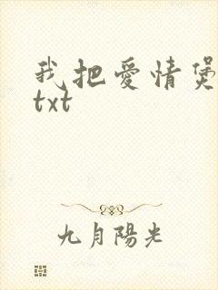 我把爱情煲成汤txt