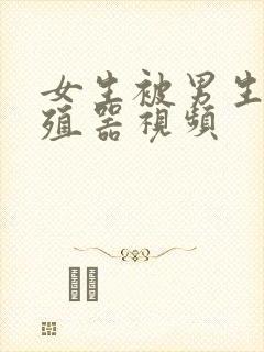 女生被男生插生殖器视频