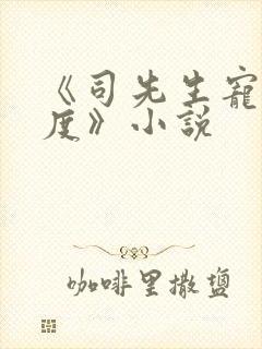 《司先生宠妻无度》小说封面