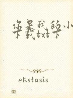 你是我的小确幸下载txt下