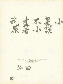 我才不是小可怜原著小说