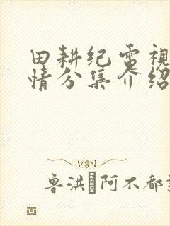 田耕纪电视剧剧情分集介绍