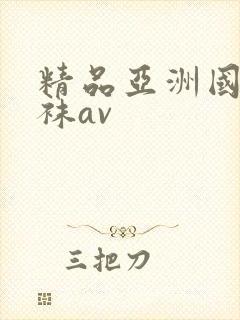 精品亚洲国产丝袜av