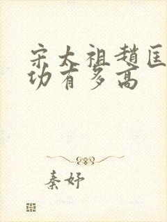 宋太祖赵匡胤武功有多高