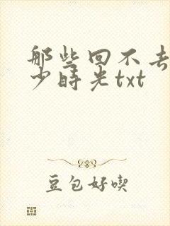 那些回不去的年少时光txt