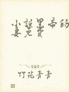 小说黑帝的呆萌妻免费