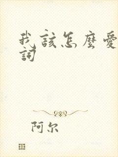 我该怎么爱你歌词封面