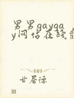 男男gaygay网站在线观看封面
