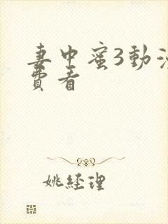 妻中蜜3动漫免费看