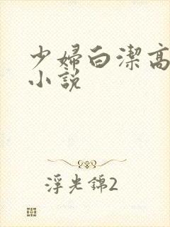 少妇白洁高义的小说