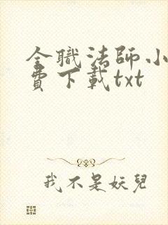 全职法师小说免费下载txt