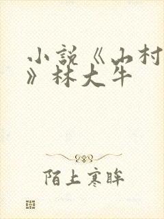 小说《山村情事》林大牛封面