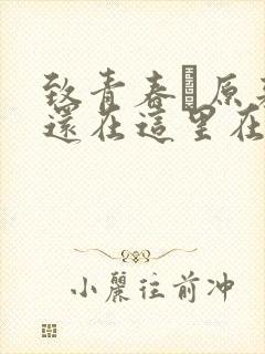 致青春·原来你还在这里在线播放