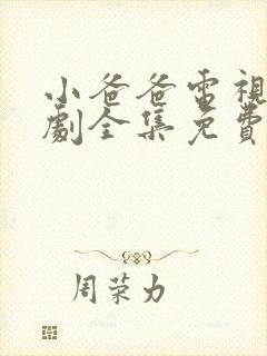 小爸爸电视连续剧全集免费