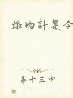 炖肉计是今海棠封面