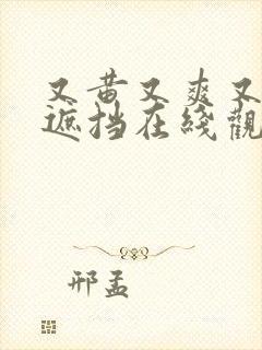 又黄又爽又色无遮挡在线观看