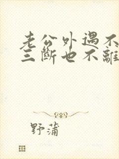 老公外遇不和小三断也不离婚封面