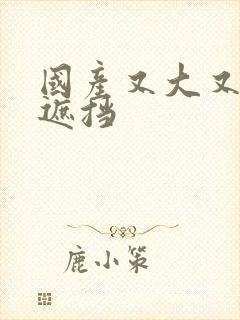 国产又大又爽无遮挡封面