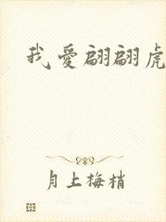 我爱翩翩虎少封面