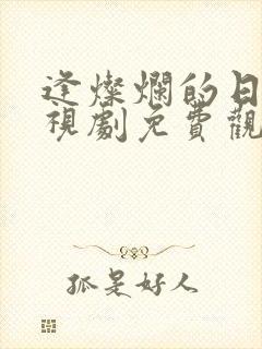 逢灿烂的日子电视剧免费观看全集