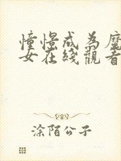 憧憬成为魔法少女在线观看第二季封面