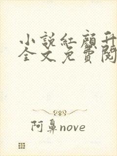 小说红颜升迁记全文免费阅读封面