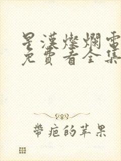 星汉灿烂电视剧免费看全集完整版