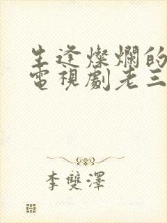 生逢灿烂的日子电视剧老三结局