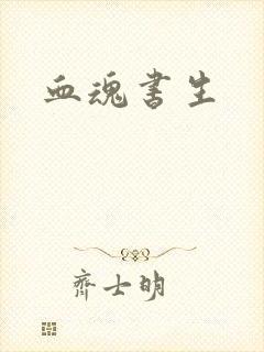 血魂书生封面