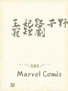 王妃路子野,得宠短剧