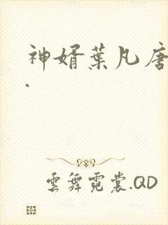 神婿叶凡唐若雪.