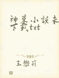 神墓小说未删版下载txt