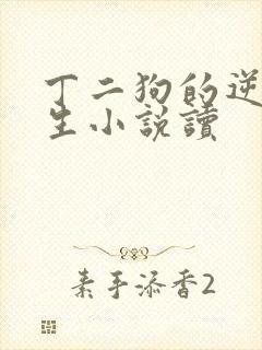 丁二狗的逆袭人生小说读