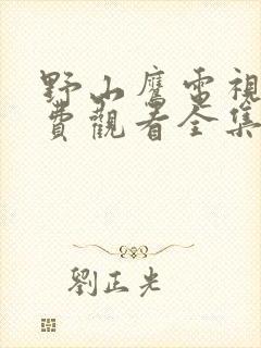 野山鹰电视剧免费观看全集高清