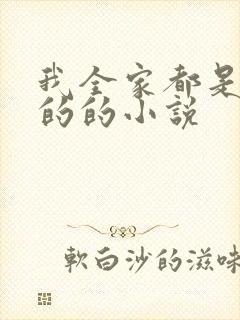 我全家都是穿来的的小说