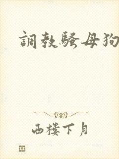 调教骚母狗欠操