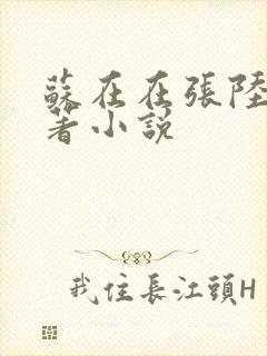 苏在在张陆让原著小说