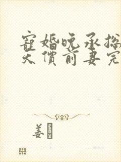 宠婚晚承总裁的天价前妻完整版