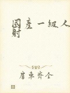 国产一级人片内射封面