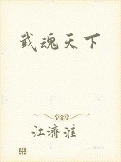 武魂天下