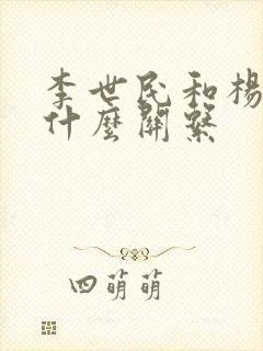 李世民和杨广是什么关系封面