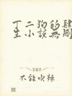 丁二狗的肆意人生小说无删减txt封面