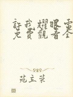 许我耀眼电视剧免费观看全集在线播放